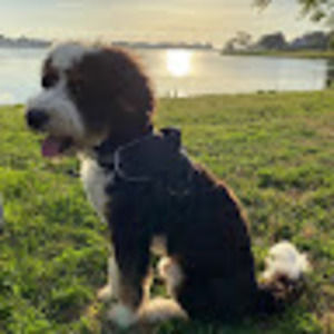 Meet your Posher, Jenna